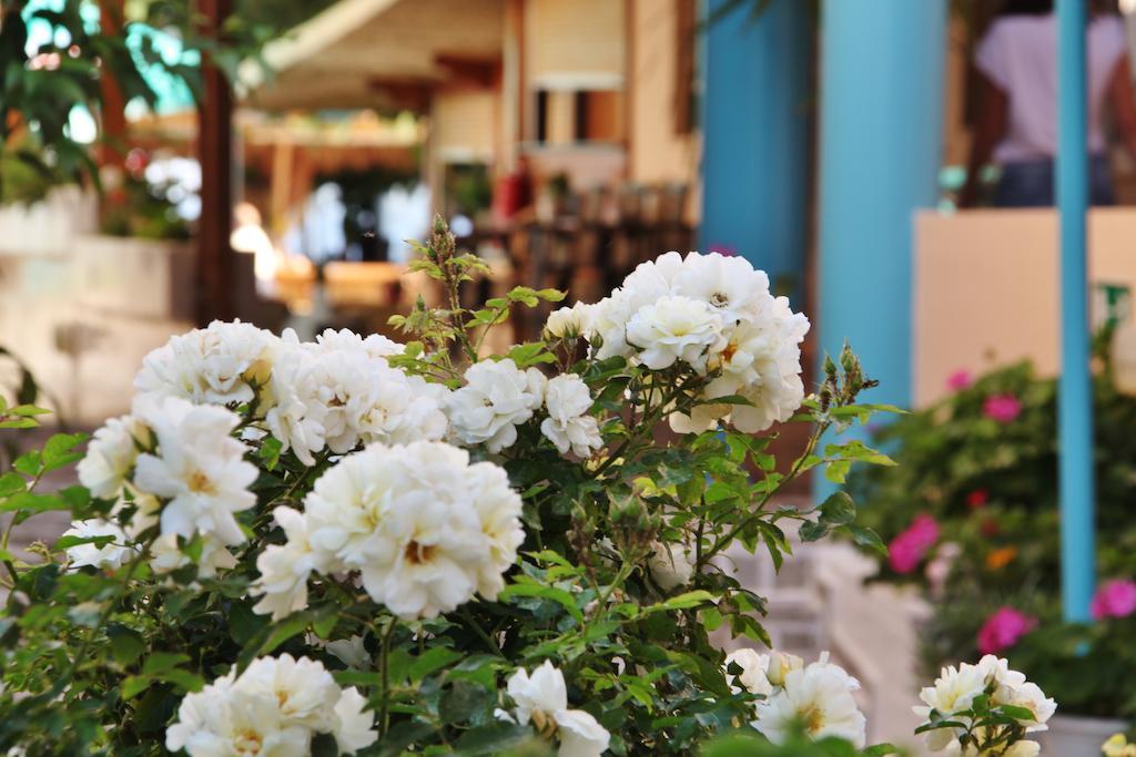 Santa Irene Aparthotel Soúgia Ngoại thất bức ảnh